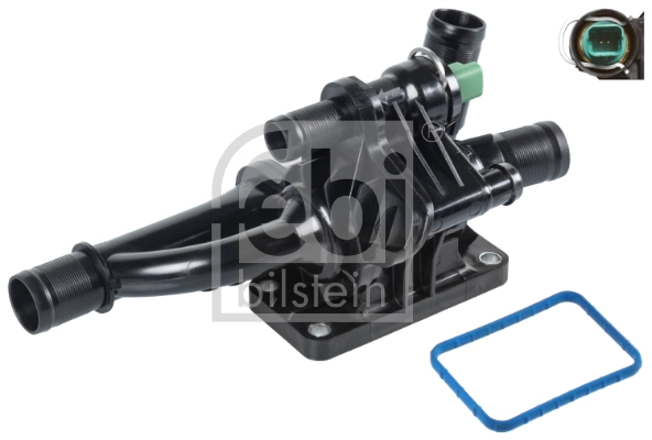 Thermostat, coolant